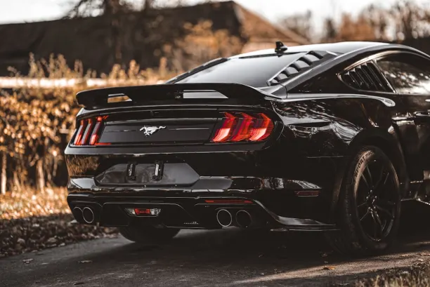 PlaySunny Kasyno Aplikacja Android/iOS